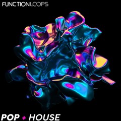 Function Loops - Pop + House
