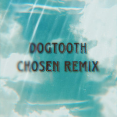 Tyler The Creator - DOGTOOTH (Chosen Remix)