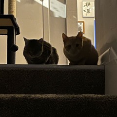 Departure (prod. dash)