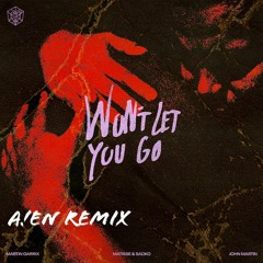 Martin Garrix, Matisse & Sadko, John Martin - Wont Let You Go (A!EN REMIX)