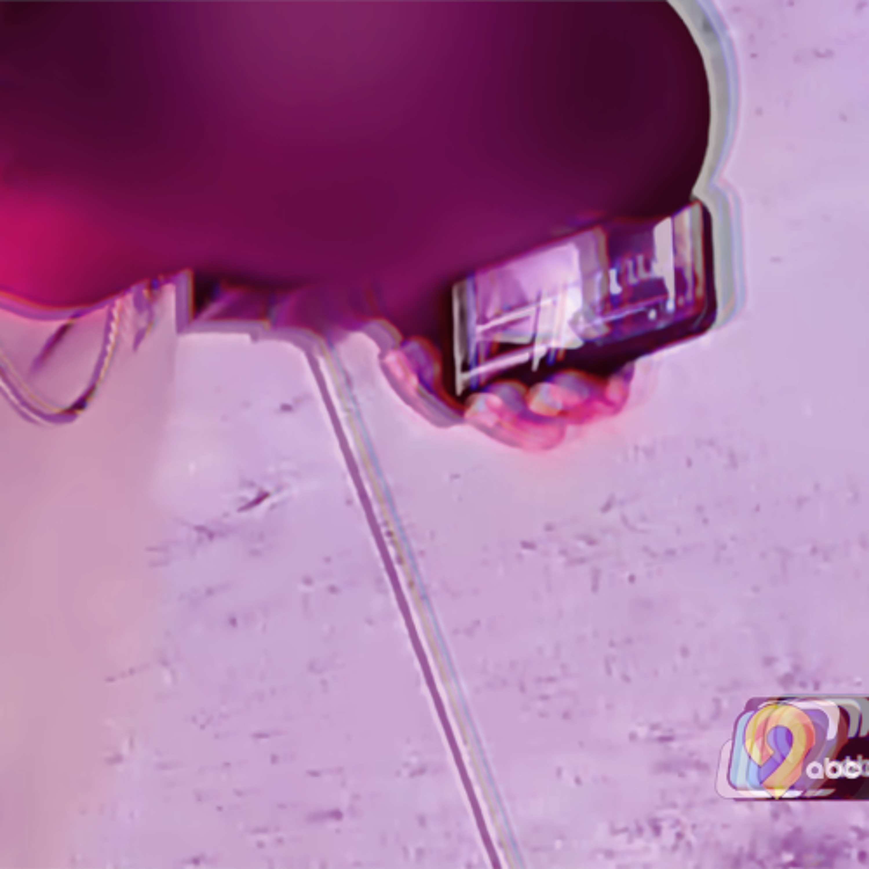 229 - Typically  Straight Shooters (12/28/2025)