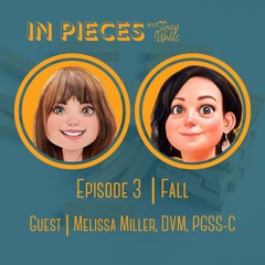 In Pieces Ep. 3 FALL.MP3