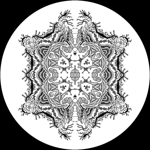 FLAWS - Sacred Space [MT42]