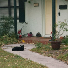 eleventhree.mittens.(2)wav