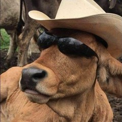 Lil Ze Versão Piseiro+plug - Garota Com A Letra K (remix)