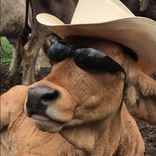 Lil Ze Versão Piseiro+plug - Garota Com A Letra K (remix)