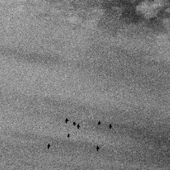 Through the Snowy Fields, Through the Desolate Wasteland (TEST Mix 0.1)