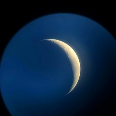 "Futura Vecchia, New Year's Eve" by Rebecca Elson (read by Maria Popova)