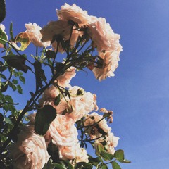 TOMORROW! (prod. TR4E)