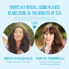 Everyday Ritual: Using Plants As Medicine & The Benefits Of Tea