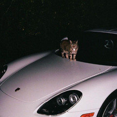 CARRERA (ft.elie)