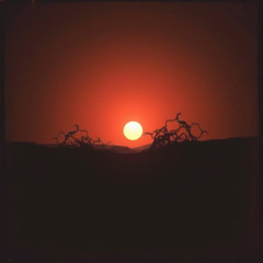 Between the Shadows and The Light