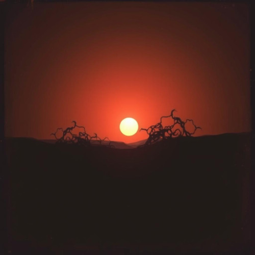 Between the Shadows and The Light