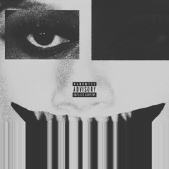 13thfrstyl.pxn