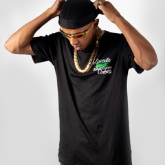 ACAPELLA AMOSTRADINHO - WILL BL