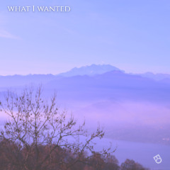 what i wanted