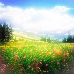 изменился +PLUSIX