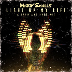 Light Up My Life (Drum & Bass Mix)