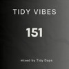 Video herunterladen: Tidy Vibes 151