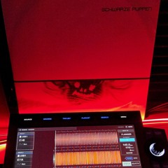 Schwarze Puppen ( Edkaa Remix) B