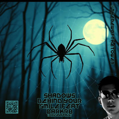 Shadows Behind Your Smile feat DarkRB (Original Mix)