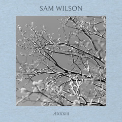 ÆXXXIII - Sam Wilson