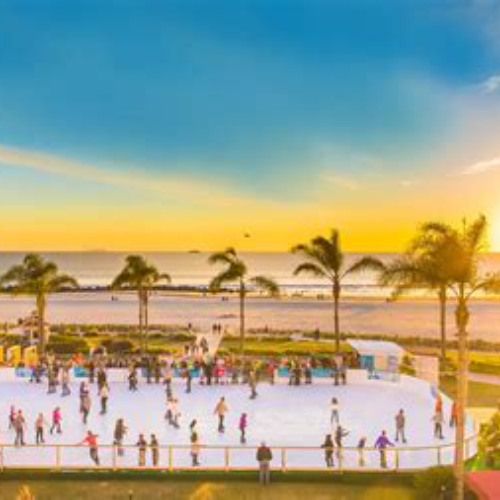 Best Things To Do This Saturday In San Diego Tours Reviews
