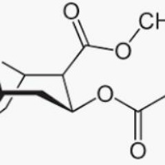 Bonez MC & Gzuz feat. Raf - KOKAIN [TICKERTECHNO] [PM REMIX]