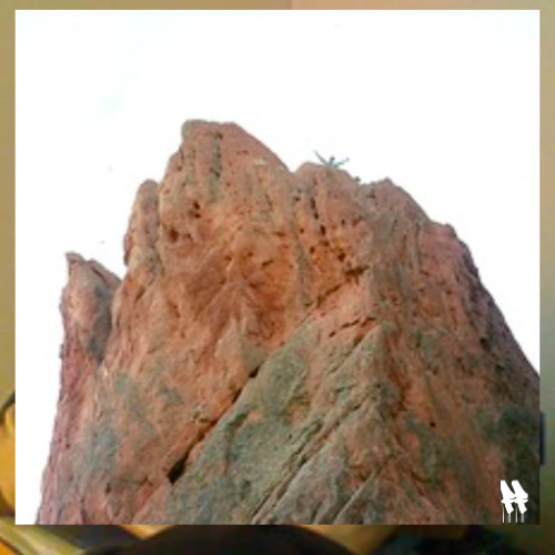 But what went ye out for to see? A prophet? yea, I say unto you, and more than a prophet.