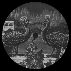 Pîrvu - Edge Of A Strange Euphoria (MEANDER33)