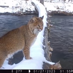 WHEN YOUR HEART TURNS COLD IT CAUSES YOUR SOUL TO FREEZE