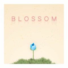 Wertw - Blossom