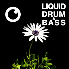 Liquid Drum and Bass Sessions  #35 :  [December 2020]