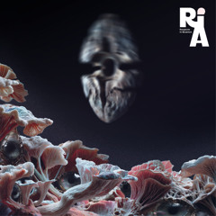 PREMIERE: Reva Chol - Torsion Port Anvil (Original Mix) [ Resonate in Absence ]