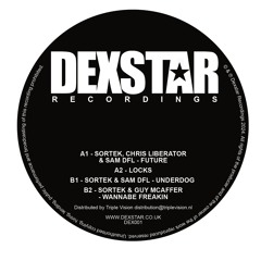 DEX001 B2 SORTEK & GUY MCAFFER - WANNABE FREAKIN'
