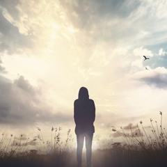 Robbie Van Doe - In The Next Life