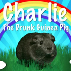 Drunk Guinea Pig