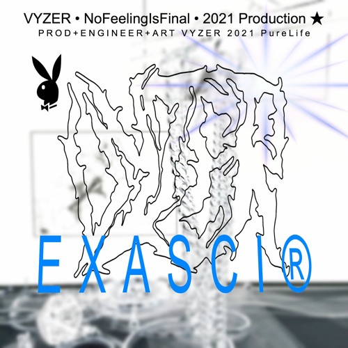 VYZER - EXASCI