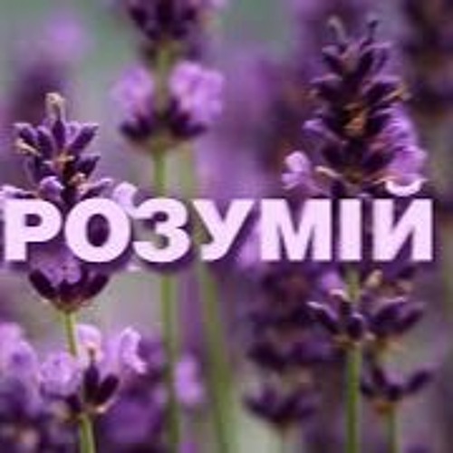 Зрозумій, Вітер Хмару Несе  - Влад Комар