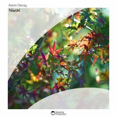 Aaron Decay - Niwaki