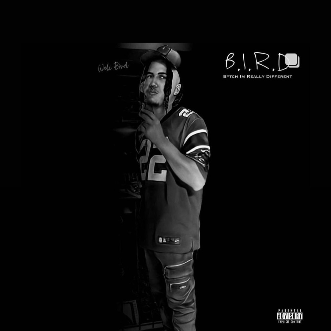 Perfection Interlude (ep version)