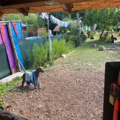 Der Garten | Heidelberg | You are a dream | 18.7.2025