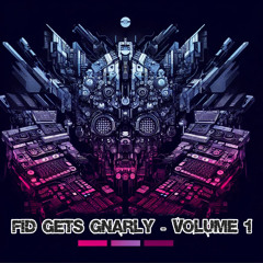 FiD gets Gnarly - Volume One [Electronic / Tech-House Mix]