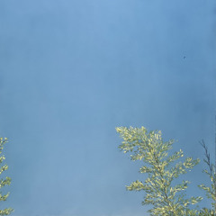 ここにある光 (feat. わかまつごう)