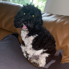 Timeless (prod. Lil Dev)