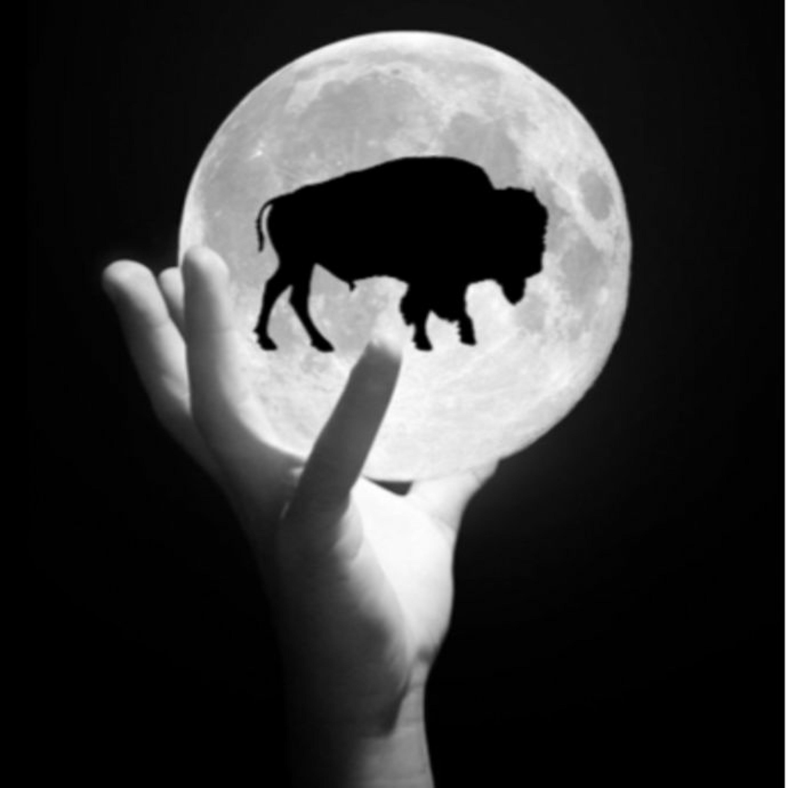 Surrender – Bison Moon – BM01 – 20 episode artwork