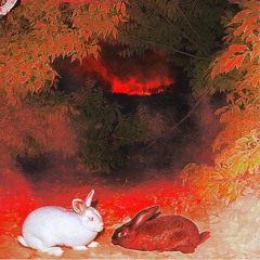 Iayze - Good Riddance (p. saegoe)