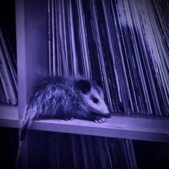 T H I S - dj Plushious