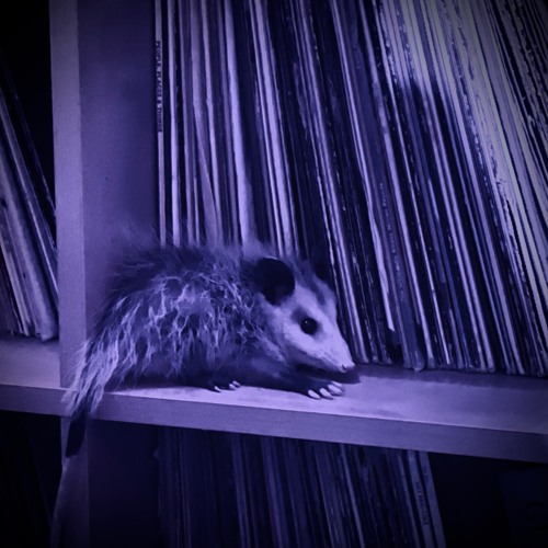 T H I S - dj Plushious
