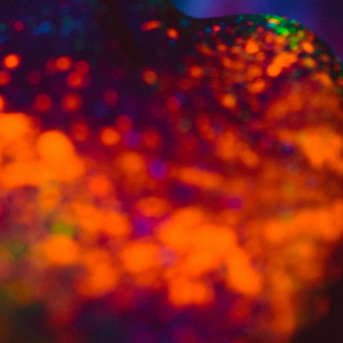 premiere | Bryan Kessler - HiHats Like Fantastic Four | Chorus Records